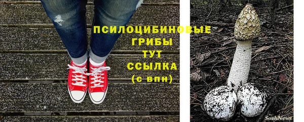 прущая мука Абаза