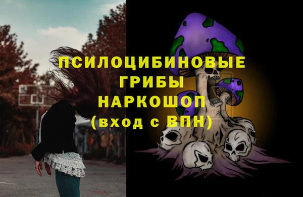 бутират Алексин