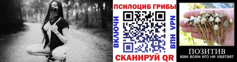 Псилоцибиновые грибы Psilocybine cubensis  наркотики  Новое Девяткино 